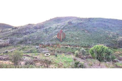 Terra a Marmelete, Faro, Marmelete - € 74.800 | Ref: 304/2023 - foto 9