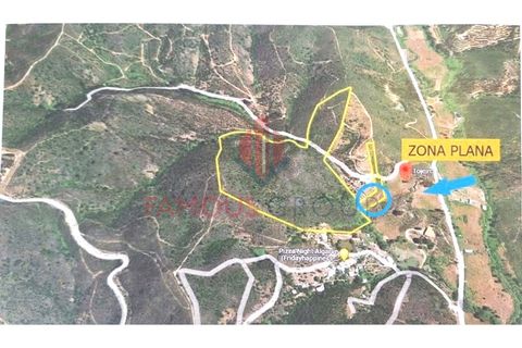 Terra a Marmelete, Faro, Marmelete - € 74.800 | Ref: 304/2023 - foto 2