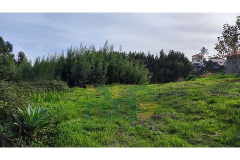 Terra a Camacha, Madeira, Camacha - € 70.000 | Ref: RHG23035 - foto 3