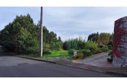 Terra a Camacha, Madeira, Camacha - € 70.000 | Ref: RHG23035 - foto 4