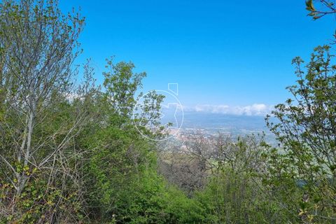 Landejendom i Arezzo, Arezzo, Arezzo - € 390.000 | Ref: DIC.7288 - foto 3