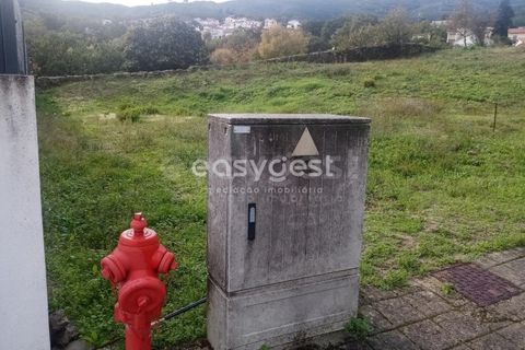 Terra a Boidobra, Castelo Branco, Boidobra - € 89.000 | Ref: CB94131MA - foto 3