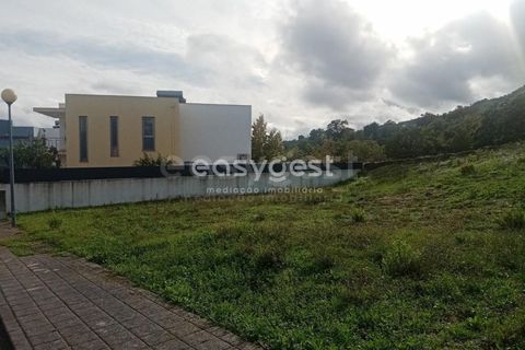 Terra a Boidobra, Castelo Branco, Boidobra - € 89.000 | Ref: CB94131MA - foto 5