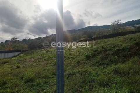 Terra a Boidobra, Castelo Branco, Boidobra - € 89.000 | Ref: CB94131MA - foto 6