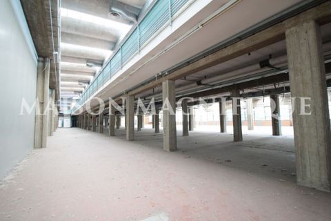 Villa a Bologna, Bologna, Bologna - € 15.000.000 | Ref: BO-07CM01 - foto 8