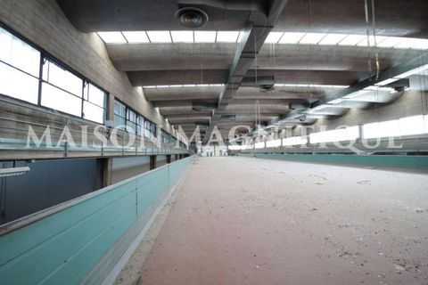 Villa a Bologna, Bologna, Bologna - € 15.000.000 | Ref: BO-07CM01 - foto 10