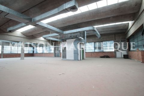 Villa a Bologna, Bologna, Bologna - € 15.000.000 | Ref: BO-07CM01 - foto 11