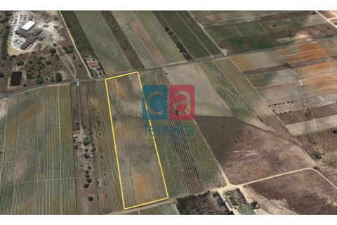 Helårsgrund i Alpiarca, Santarem, Alpiarca - € 60.000 | Ref: TERR4146 - foto 1