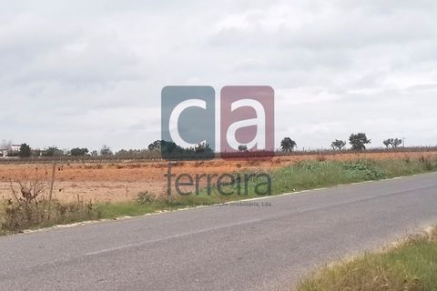Helårsgrund i Alpiarca, Santarem, Alpiarca - € 60.000 | Ref: TERR4146 - foto 4