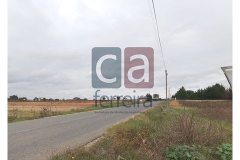 Helårsgrund i Alpiarca, Santarem, Alpiarca - € 60.000 | Ref: TERR4146 - foto 5