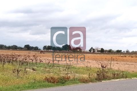 Helårsgrund i Alpiarca, Santarem, Alpiarca - € 60.000 | Ref: TERR4146 - foto 6