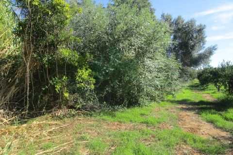 Villa i Castro Marim, Faro, Castro Marim - € 168.000 | Ref: 1001-284 - foto 9