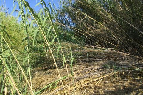 Villa i Castro Marim, Faro, Castro Marim - € 168.000 | Ref: 1001-284 - foto 10