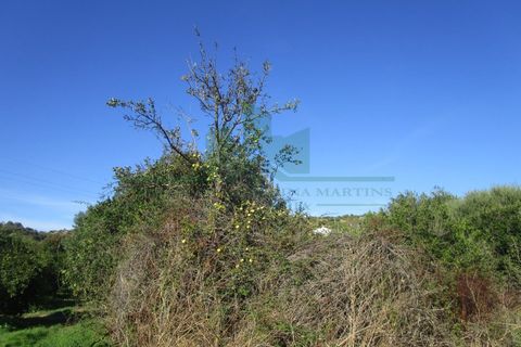 Villa i Castro Marim, Faro, Castro Marim - € 168.000 | Ref: 1001-284 - foto 14