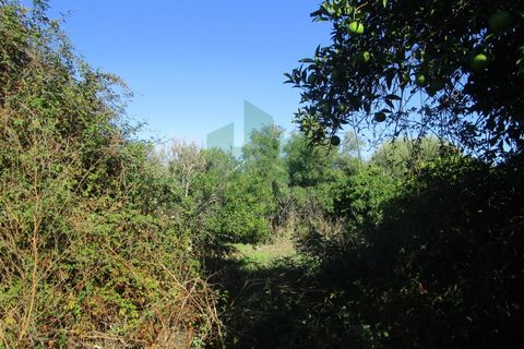 Villa i Castro Marim, Faro, Castro Marim - € 168.000 | Ref: 1001-284 - foto 15