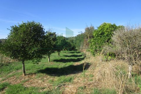 Villa i Castro Marim, Faro, Castro Marim - € 168.000 | Ref: 1001-284 - foto 19