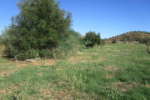 Villa i Castro Marim, Faro, Castro Marim - € 168.000 | Ref: 1001-284 - foto 20