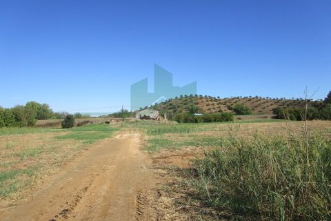 Villa i Castro Marim, Faro, Castro Marim - € 168.000 | Ref: 1001-284 - foto 26
