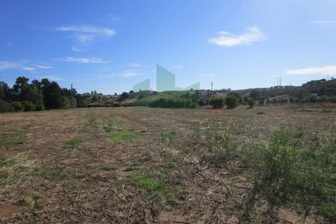 Villa i Castro Marim, Faro, Castro Marim - € 168.000 | Ref: 1001-284 - foto 27