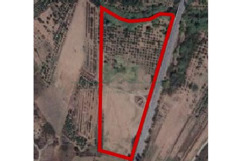 Villa i Castro Marim, Faro, Castro Marim - € 168.000 | Ref: 1001-284 - foto 41