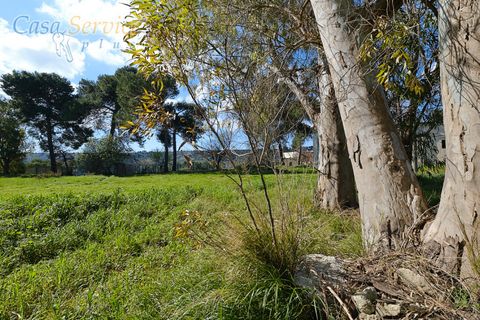 Villa a Specchia, Lecce, Specchia - € 535.000 | Ref: SPEA-420 - foto 6