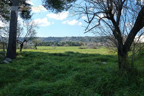 Villa a Specchia, Lecce, Specchia - € 535.000 | Ref: SPEA-420 - foto 11