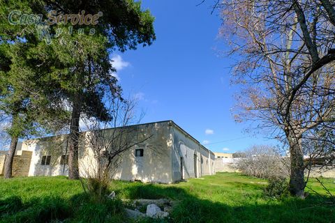 Villa a Specchia, Lecce, Specchia - € 535.000 | Ref: SPEA-420 - foto 13