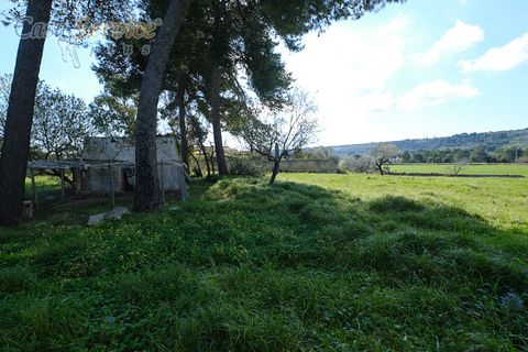 Villa a Specchia, Lecce, Specchia - € 535.000 | Ref: SPEA-420 - foto 14