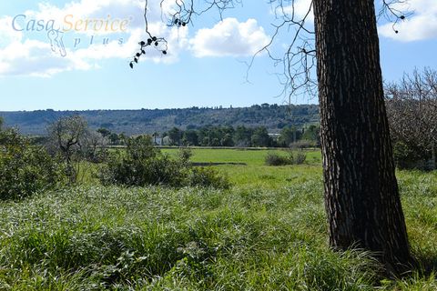 Villa a Specchia, Lecce, Specchia - € 535.000 | Ref: SPEA-420 - foto 16