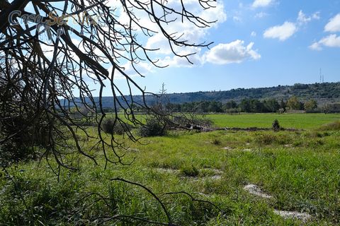 Villa a Specchia, Lecce, Specchia - € 535.000 | Ref: SPEA-420 - foto 19