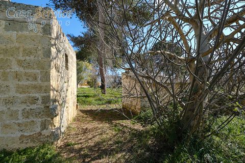 Villa a Specchia, Lecce, Specchia - € 535.000 | Ref: SPEA-420 - foto 20