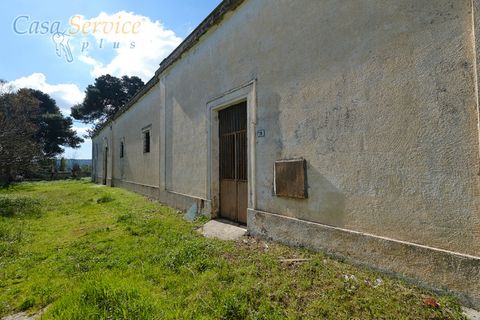 Villa a Specchia, Lecce, Specchia - € 535.000 | Ref: SPEA-420 - foto 31