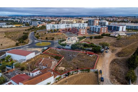 Helårsgrund i Oeiras, Lisbon, Oeiras - € 1.050.000 | Ref: 122181229-345 - foto 16