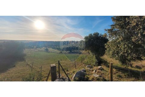 Terra a Torrao, Setubal, Torrao - € 80.000 | Ref: 122181148-235 - foto 3