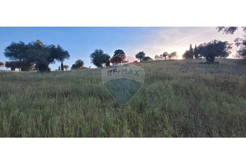 Terra a Torrao, Setubal, Torrao - € 80.000 | Ref: 122181148-235 - foto 20