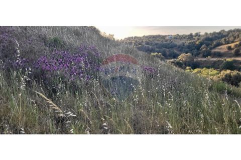 Terra a Torrao, Setubal, Torrao - € 80.000 | Ref: 122181148-235 - foto 23