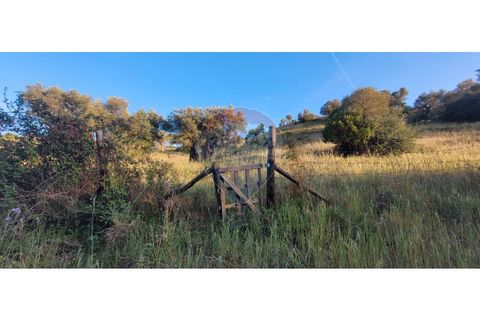 Terra a Torrao, Setubal, Torrao - € 80.000 | Ref: 122181148-235 - foto 27
