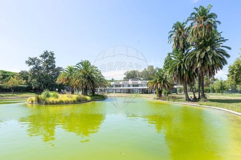 Leilighet i Alvalade, Setubal, Alvalade - € 920 000 | Ref: 122181263-222 - foto 28