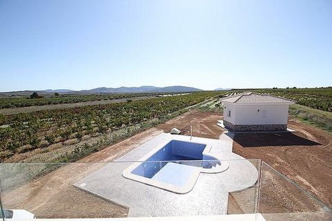 Villa i Pinoso, Alicante, Pinoso - € 375.000 | Ref: RSL-85071 - foto 16