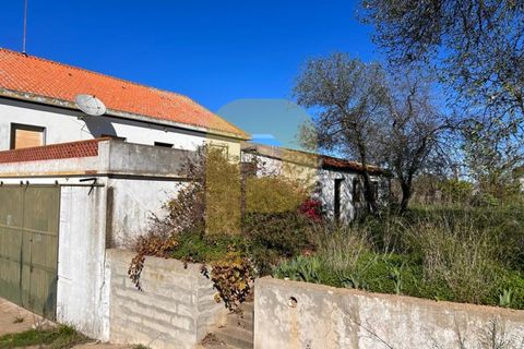 Villa i Santa Luzia, Beja, Santa Luzia - € 500.000 | Ref: PB2023371 - foto 14