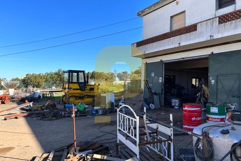 Villa i Santa Luzia, Beja, Santa Luzia - € 500.000 | Ref: PB2023371 - foto 16