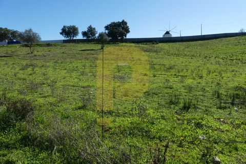 Villa i Santa Luzia, Beja, Santa Luzia - € 500.000 | Ref: PB2023371 - foto 25
