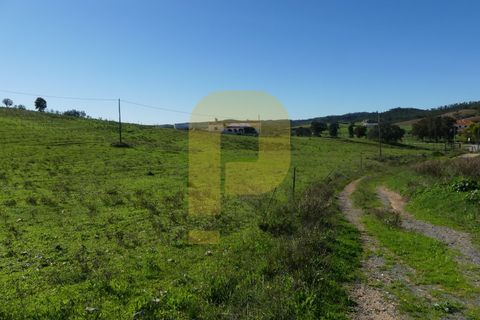 Villa i Santa Luzia, Beja, Santa Luzia - € 500.000 | Ref: PB2023371 - foto 27