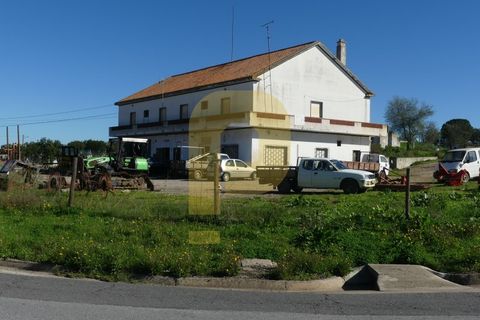 Villa i Santa Luzia, Beja, Santa Luzia - € 500.000 | Ref: PB2023371 - foto 31