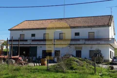 Villa i Santa Luzia, Beja, Santa Luzia - € 500.000 | Ref: PB2023371 - foto 32