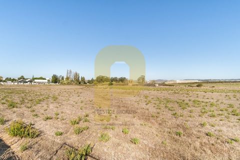 Helårsgrund i Sintra, Lisbon, Sintra - € 4.998.000 | Ref: PB2021211 - foto 2
