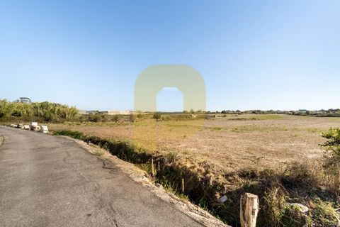 Helårsgrund i Sintra, Lisbon, Sintra - € 4.998.000 | Ref: PB2021211 - foto 3