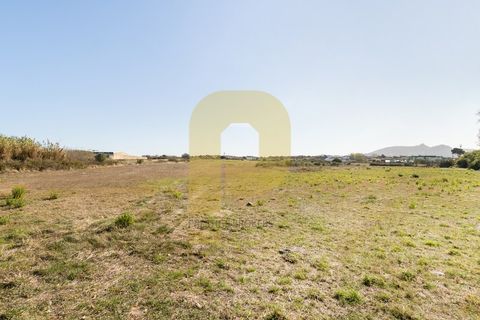 Helårsgrund i Sintra, Lisbon, Sintra - € 4.998.000 | Ref: PB2021211 - foto 4