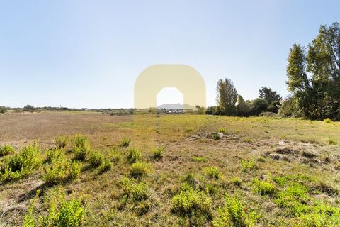 Helårsgrund i Sintra, Lisbon, Sintra - € 4.998.000 | Ref: PB2021211 - foto 5