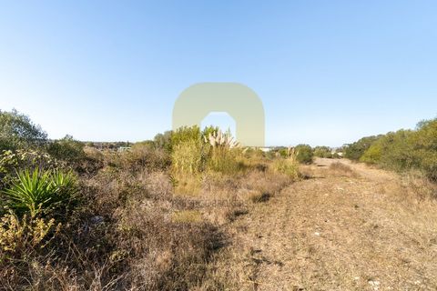 Helårsgrund i Sintra, Lisbon, Sintra - € 4.998.000 | Ref: PB2021211 - foto 7